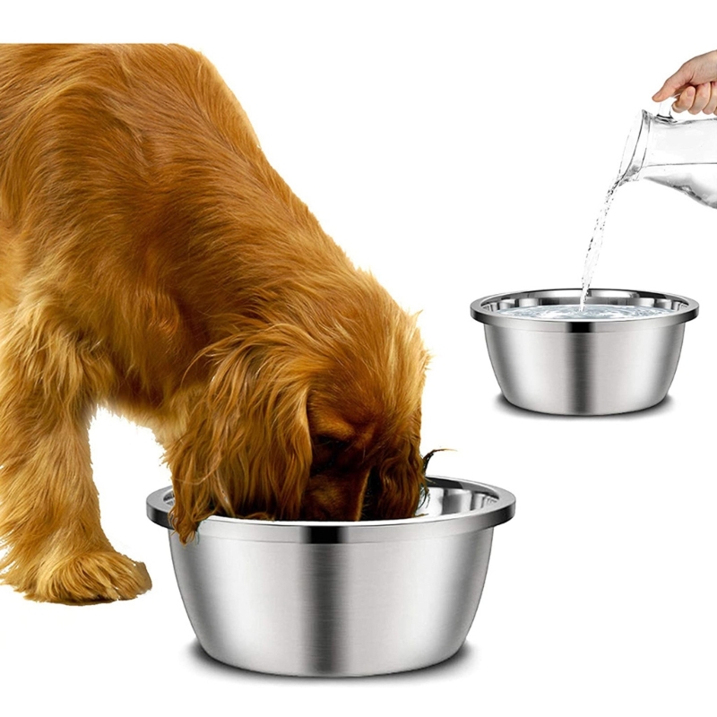 Royal Canin Food Medium - Paslanmaz Çelik Köpek Besleyicileri 20cm 24cm